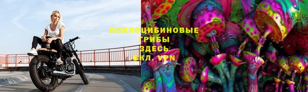 дмт Чекалин