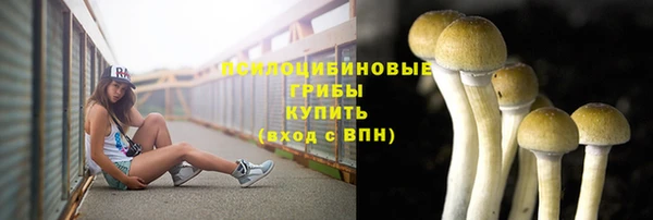 амф Зерноград