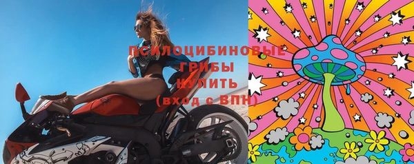 дмт Зеленодольск
