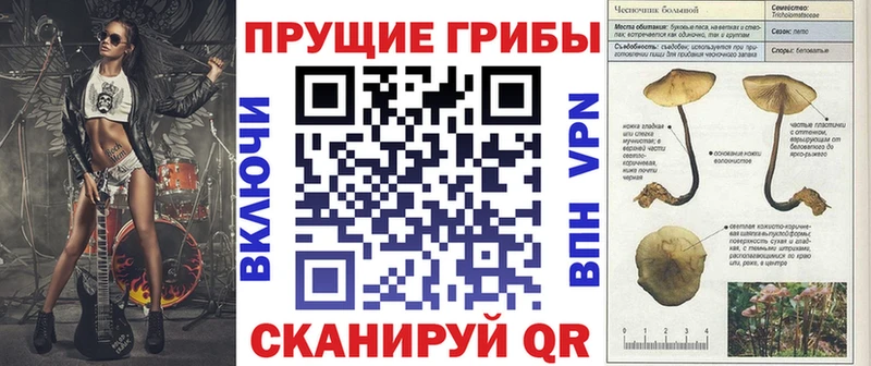 купить  сайты  Касли  Псилоцибиновые грибы MAGIC MUSHROOMS 
